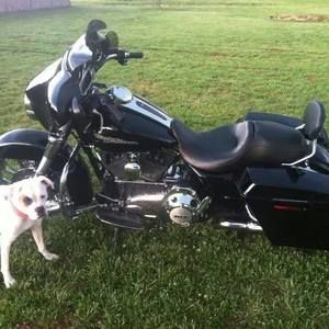 Meet your Posher, Daniel